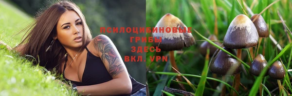 меф Пестово